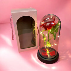 Cúpula Rosa com Led